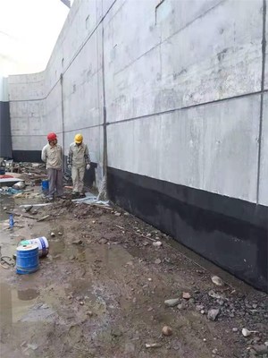 宁国防水补漏 金牌商家，20年质保让建筑告别渗漏烦恼