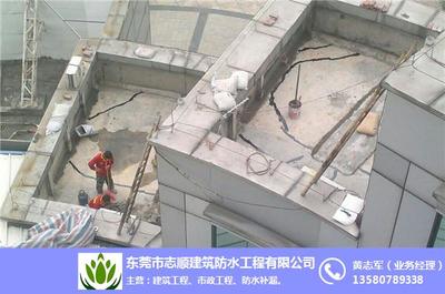 天花补漏服务、望牛墩天花补漏、东莞志顺防水补漏 查看